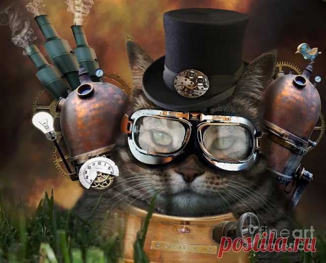 стимпанк картинки: 20 тыс изображений найдено в Яндекс.Картинках