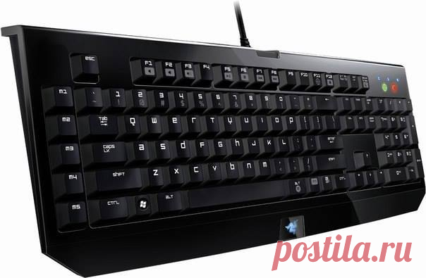 Обозначение клавиш на клавиатуре
(«Technology»)

F1— вызывает «справку» Windows или окно помощи активной программы. В Microsoft Word комбинация клавиш Shift+F1 показывает форматирование текста;
F2— переименовывает выделенный объект на рабочем столе или в окне проводника;
F3— открывает окно поиска файла или папки на рабочем столе и в проводнике. Комбинация клавиш Shift+F3 часто используется для поиска в обратном направлении;
F4— открывает выпадающий список, например, список...