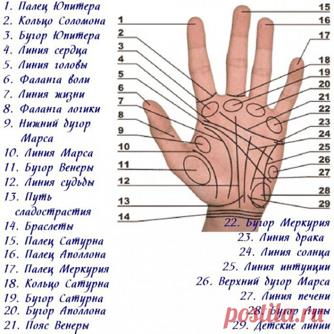 Новости