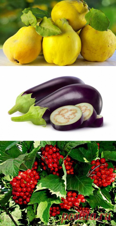 Русское Здоровье - mufakharov51@mail.ru - Почта Mail.Ru