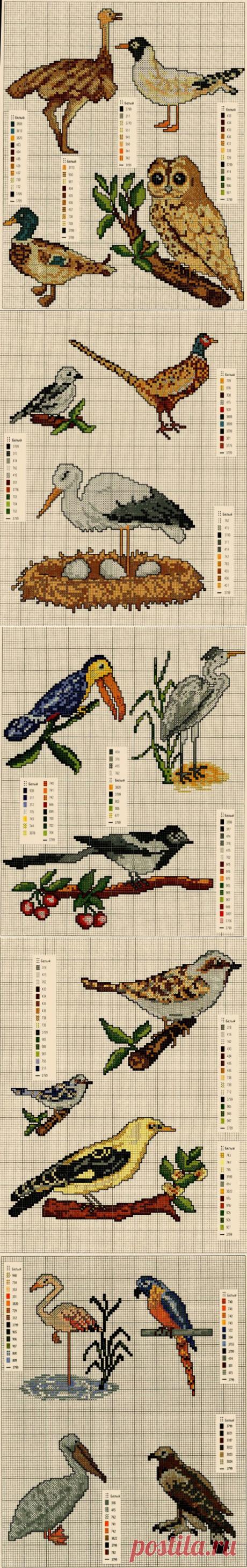 Вышивки схемы: Птицы-Бесплатные схемки