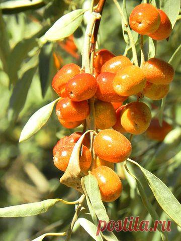 Сергей Кожевников
60 лет, Россия, г.Ликино-Дулево