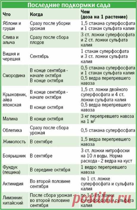Подготовка плодовых деревьев к зиме — 6 соток