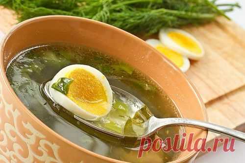 Рецепты супов из щавеля | Четыре вкуса