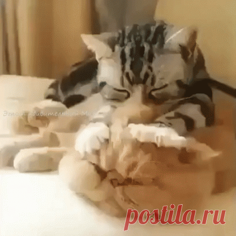 Всё о работе думаешь, себя совсем не бережешь!