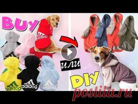 BUY или DIY? | Тёплая толстовка для собаки своими руками + подробная выкройка Привет! Наступают холода, погода портится и всё актуальнее становится вопрос одежды для питомцев. Сегодня в рубрике BUY или DIY я покажу как сшить оче...