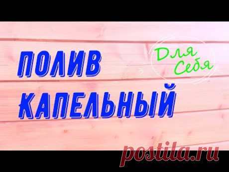 Капельный полив грядок в теплице из пластиковой трубы и гибкого силиконового шланга своими руками.