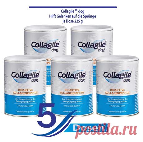 Collagile® dog - Bioactive Collagen Peptide in Food Quality 225g: Amazon.co.uk: Pet Supplies