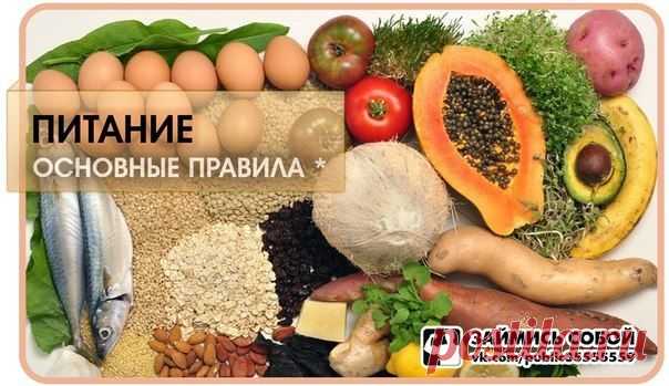 Рациональное сбалансированное питание. Основные правила