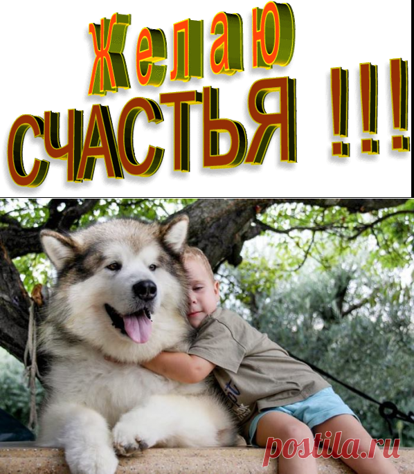 цитата Виктор_Варкентин : Цитаты (20:22 13-02-2017) [3544350/408600082] - Почта Mail.Ru