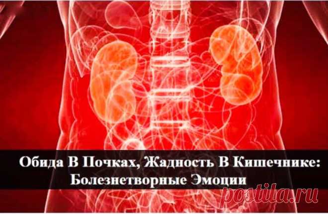 Обида В Почках, Жадность В Кишечнике: Болезнетворные Эмоции - Interesting WORLD