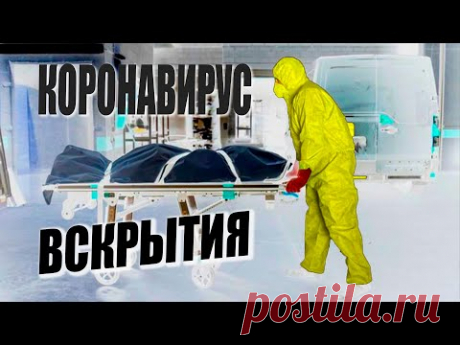 Вскрытия умерших от ковид.  Что поняли патологоанатомы?