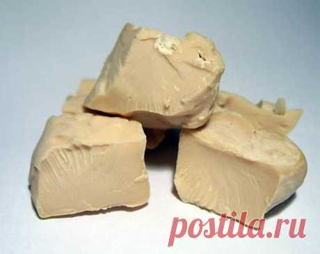 Дрожжи-советыОдноклассники