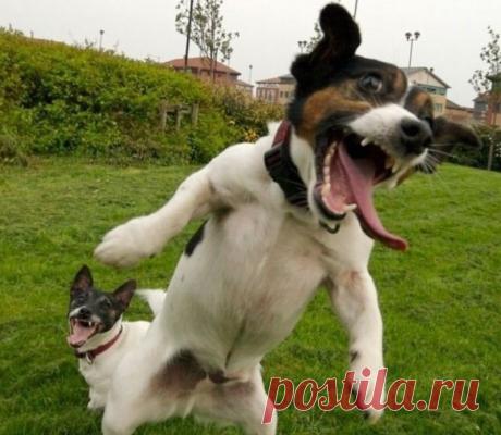 Сама ты Люся ,дура! Ну что за соседи рядом живут....