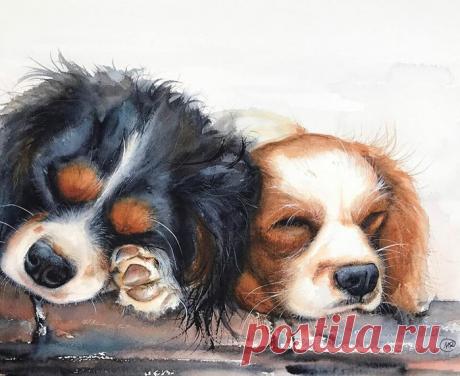 Художница Maria Raczynska и ее верные друзья