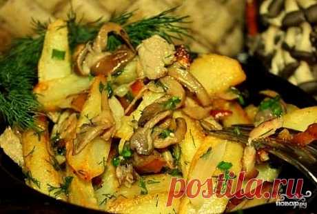 Вешенки, жареные с картошкой - пошаговый кулинарный рецепт с фото на Повар.ру