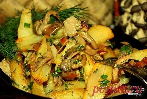 Вешенки, жареные с картошкой - пошаговый кулинарный рецепт с фото на Повар.ру