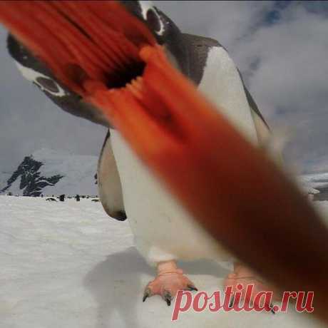 Диалоги