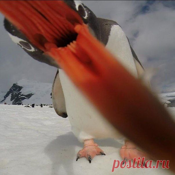 Диалоги