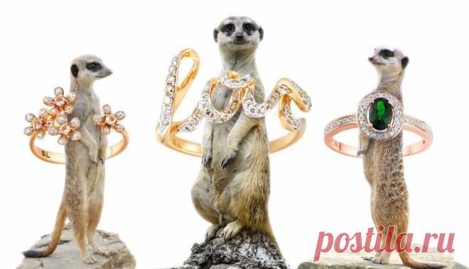 SUNMAG | Нескучный сайт для девушек о трендах, мужчинах и драгоценностях