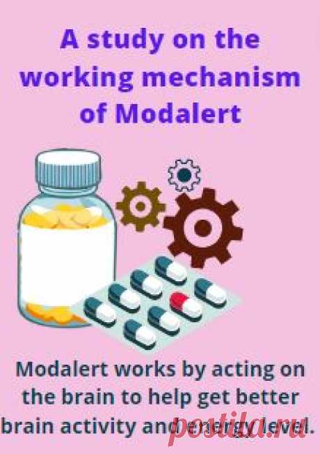 A study on the working mechanism of Modalert to help you get a better understanding of the Nootropic. The action of the Modalert begins by acting on the brain of the person and helps get better cognition and level of energy.