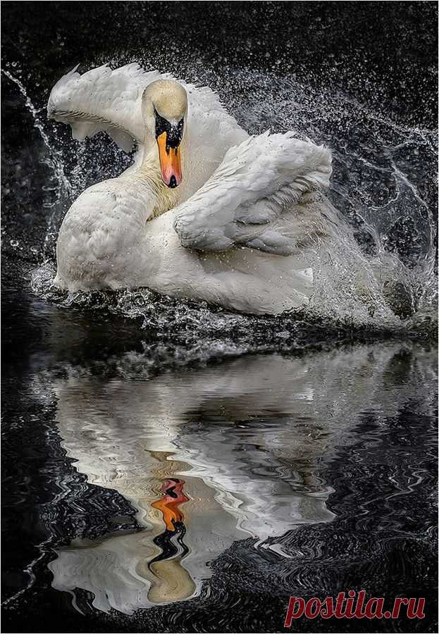 хх