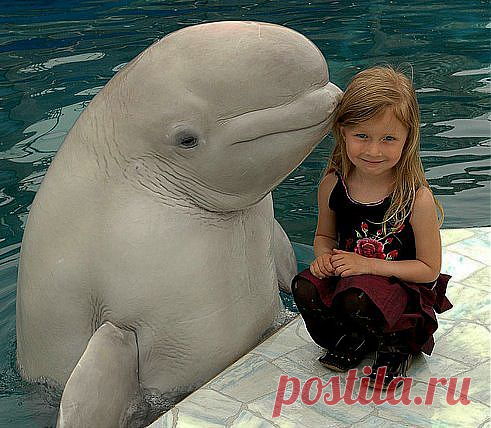 Одноклассники