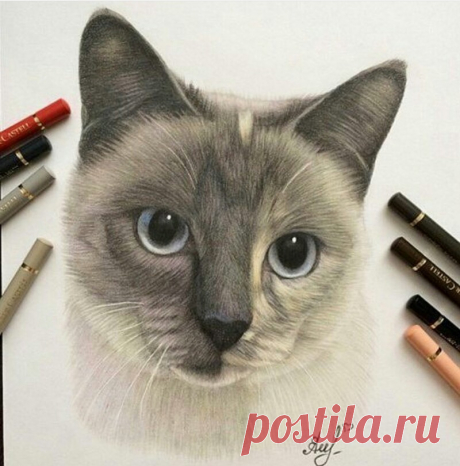 Рисунок карандашом. Как вам?