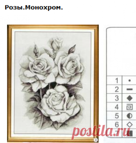 Розы.Монохром