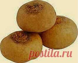 Астма репу не перетянет: устанет и мучить перестанет | Друг пенсионера
Давно болею бронхиальной астмой и знаю, что болезнь эту вылечить прак­тически невозможно, но избежать приступов можно и нужно. Мне помо­гает справиться обыкновенная репа. В ней очень много таких веществ, кото­рые для астматика необходимы.