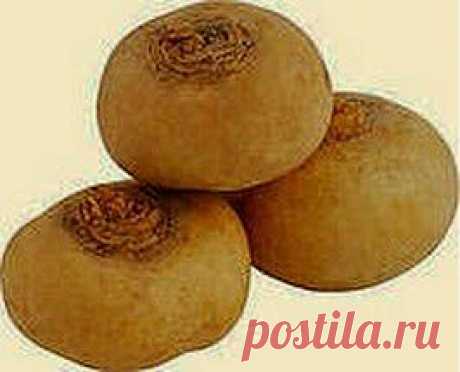 Астма репу не перетянет: устанет и мучить перестанет | Друг пенсионера
Давно болею бронхиальной астмой и знаю, что болезнь эту вылечить прак­тически невозможно, но избежать приступов можно и нужно. Мне помо­гает справиться обыкновенная репа. В ней очень много таких веществ, кото­рые для астматика необходимы.