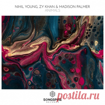Nihil Young, Zy Khan &amp; Madison Palmer – Animals [SSR280] Sharing-DB.club