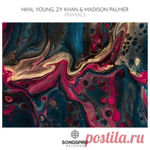 Nihil Young, Zy Khan & Madison Palmer – Animals [SSR280] Sharing-DB.club