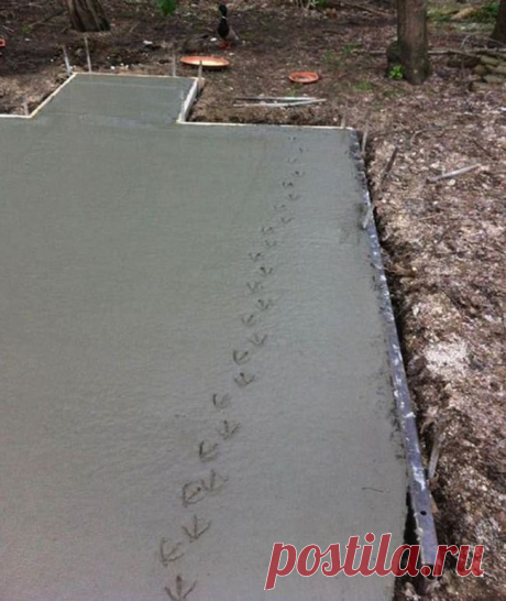 Что такое не везет, и можно ли с ним бороться (36 фото )