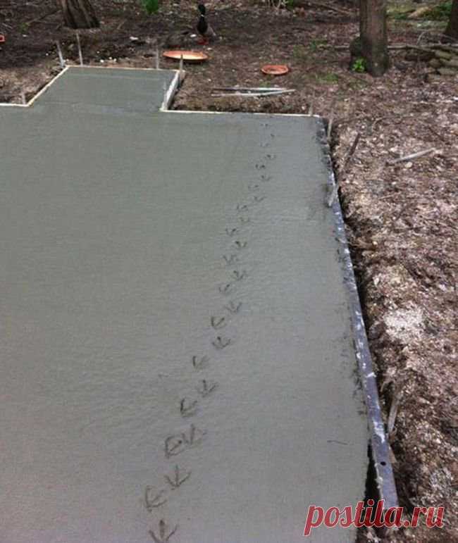 Что такое не везет, и можно ли с ним бороться (36 фото )