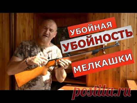 Убойная УБОЙНОСТЬ "мелкашки"! Охота с 22 LR от мышки до мишки! Кто охотится с "мелканом" ???