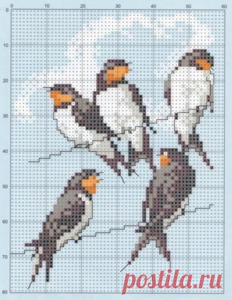 Одежда с птичками, схемы для вязания в технике жаккарда