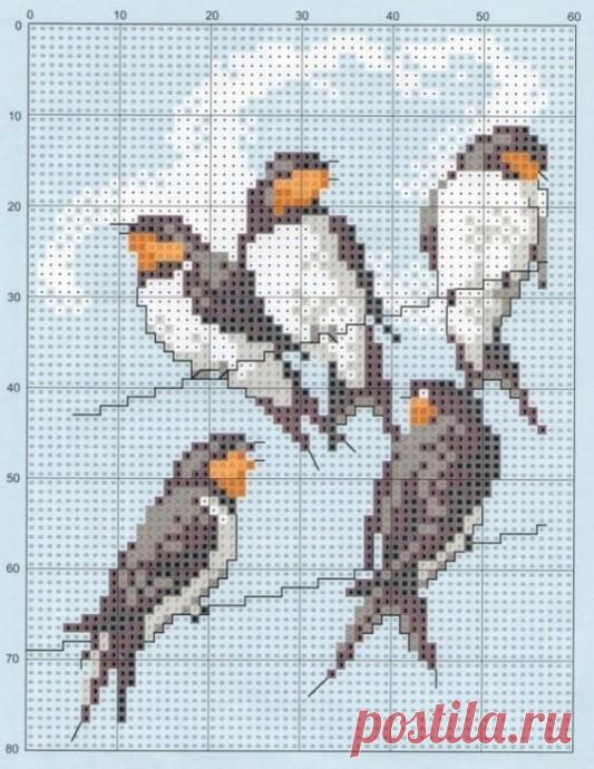 Одежда с птичками, схемы для вязания в технике жаккарда