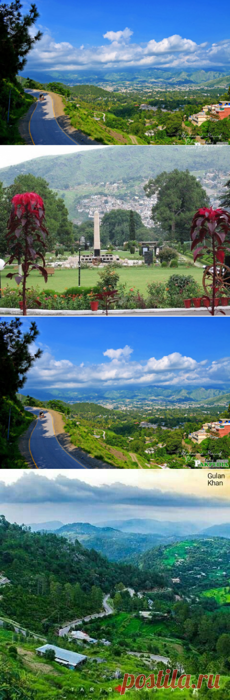 Abbottabad, the city of pines,