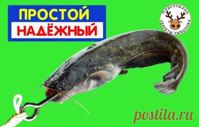 Простой и надежный узел вместо Паломара | ПОДСЛУШАНО СЕКРЕТЫ РЫБОЛОВА Пульс Mail.ru Как сделать простой и надежный узел. Как привязать крючок, как привязать карабин. Надежные узлы. Свивел узел.