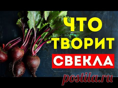 Что будет если есть свеклу каждый день? Свекла для похудения. Польза Свеклы. Салат из свеклы.