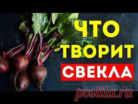 Что будет если есть свеклу каждый день? Свекла для похудения. Польза Свеклы. Салат из свеклы.