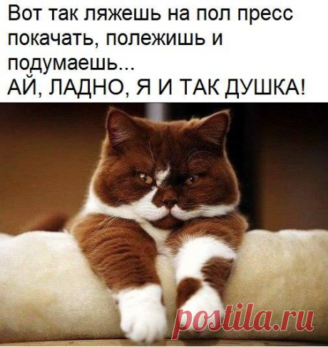 Ну душка, правда?)))