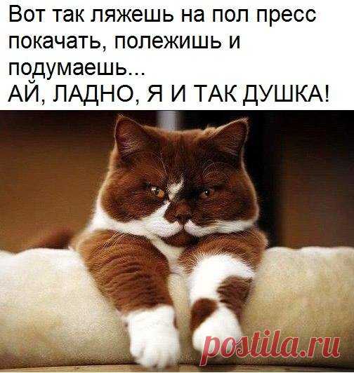 Ну душка, правда?)))