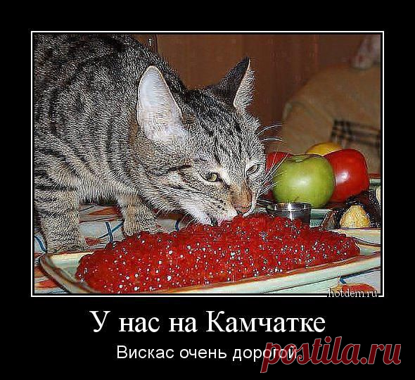 Демотиваторы: смешные и прикольные, про девушек в картинках горячее - Фишки.нет