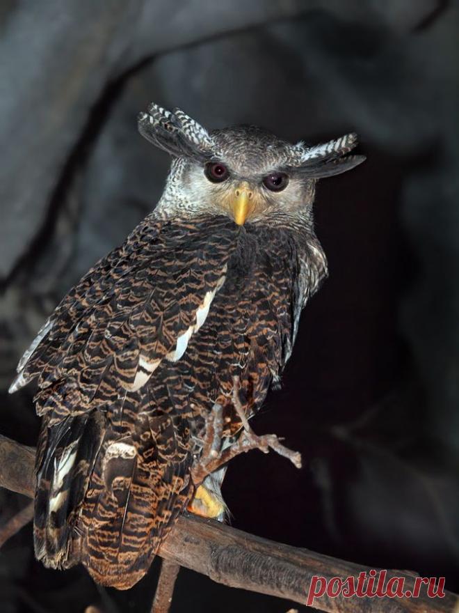 Фото и рисунки, арт и креативная реклама