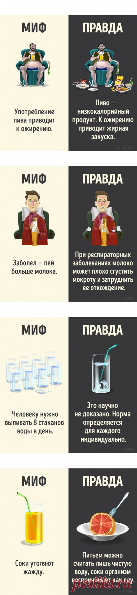 12 популярных мифов о напитках / Будьте здоровы