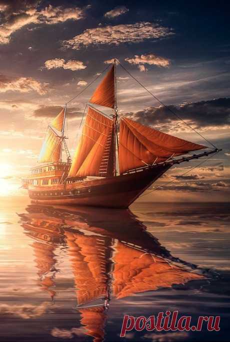 Belle nature