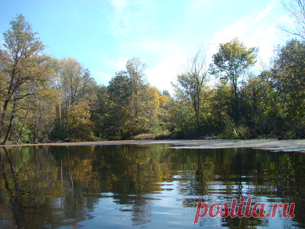 Авторский альбом "Лес и вода".