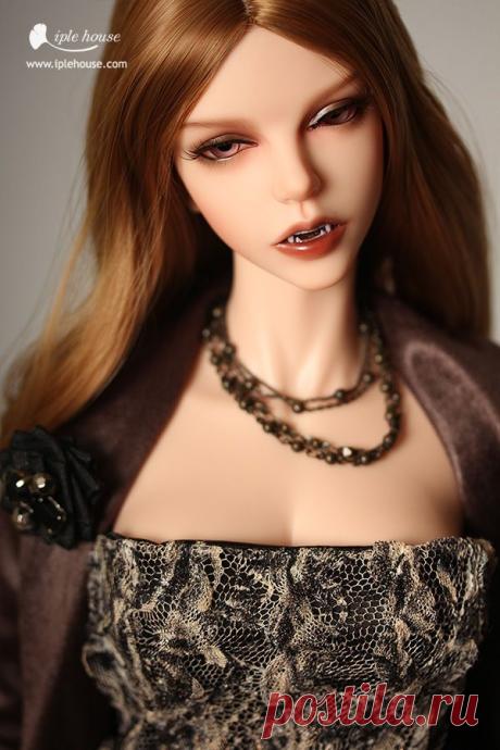 IPLE BJD